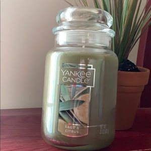 NWT Sage and citrus Yankee candle